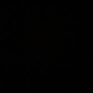 Meet your Posher, Jack